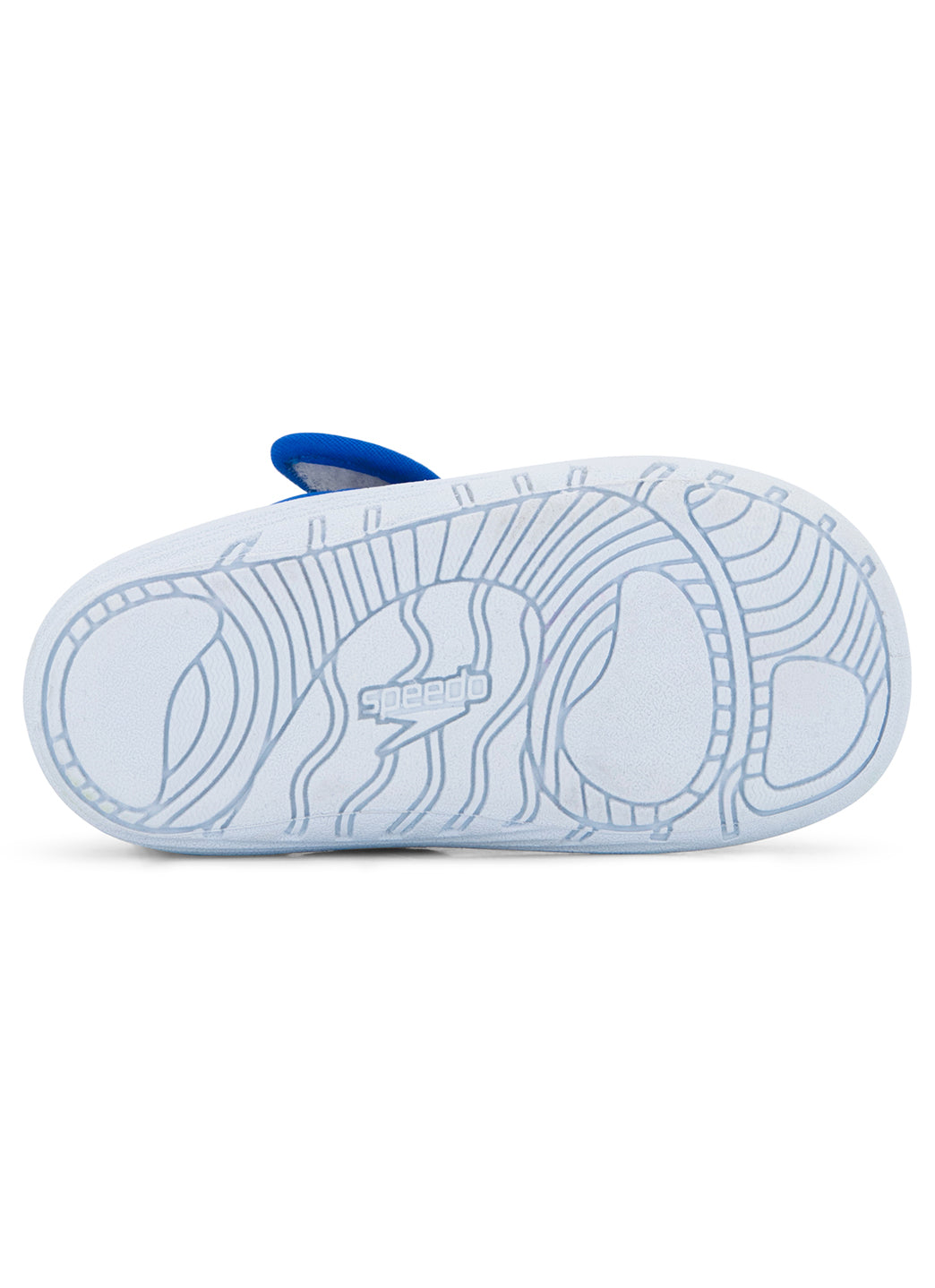  Speedo Boys' Shore Explorer Water Shoe (Toddler)